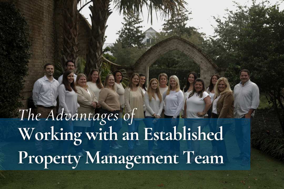 The Advantages of Working with an Established Property Management Team